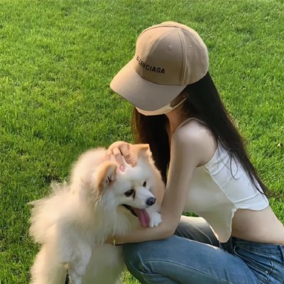 瘦虎肥龙海报
